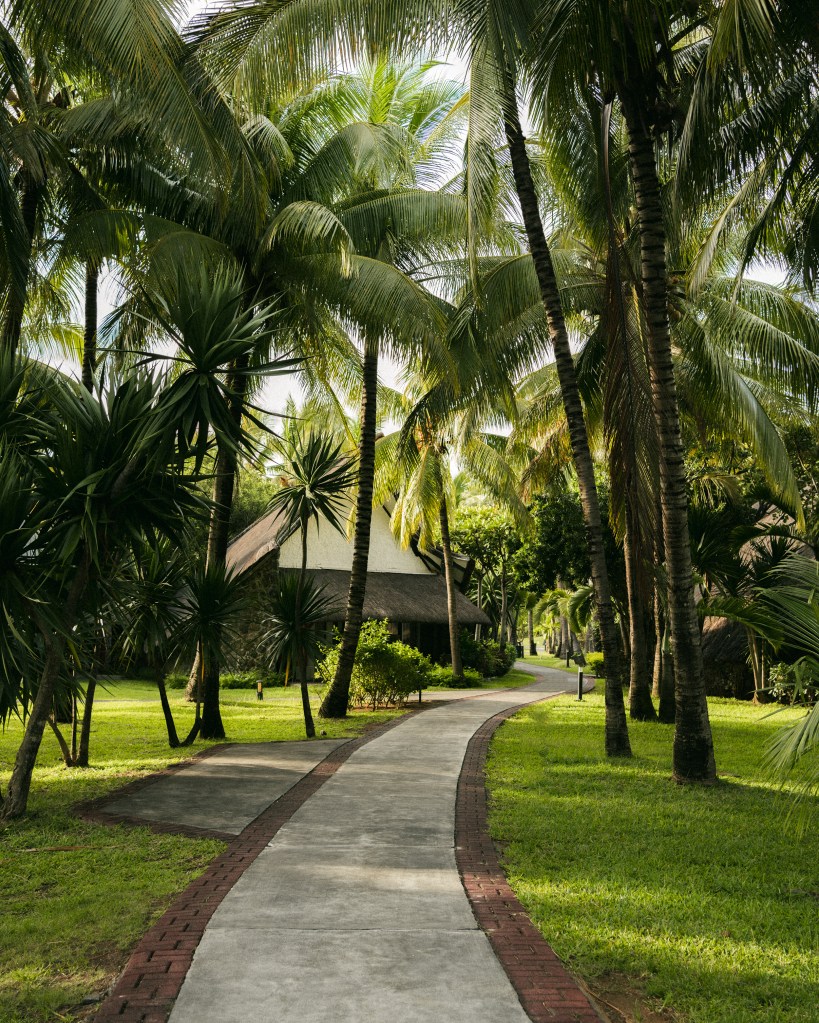 A gently curving concrete promenade edged in red brick winding through a sun-dappled grove of tall palms and tropical foliage toward a cluster of thatched-roof bungalows set on lush green lawns