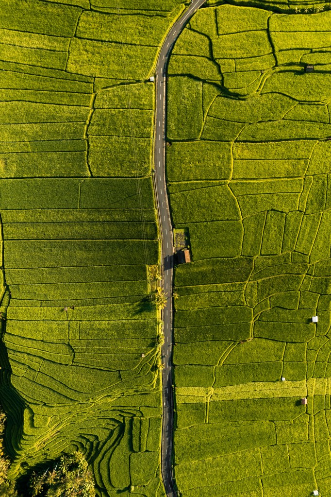 Aerial drone view of a narrow road cutting through bright green terraced rice fields in Bali, forming geometric patterns in the landscape