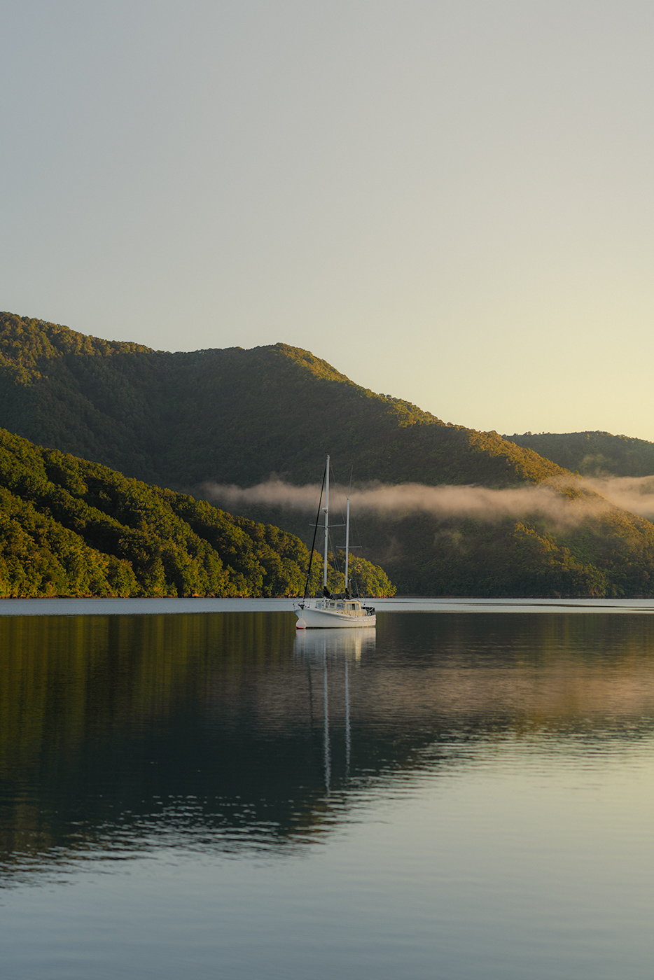 Sailboat anchored on still water near Picton, New Zealand, at Grove Arm Jetty with forested hills, a low band of mist and soft golden morning light