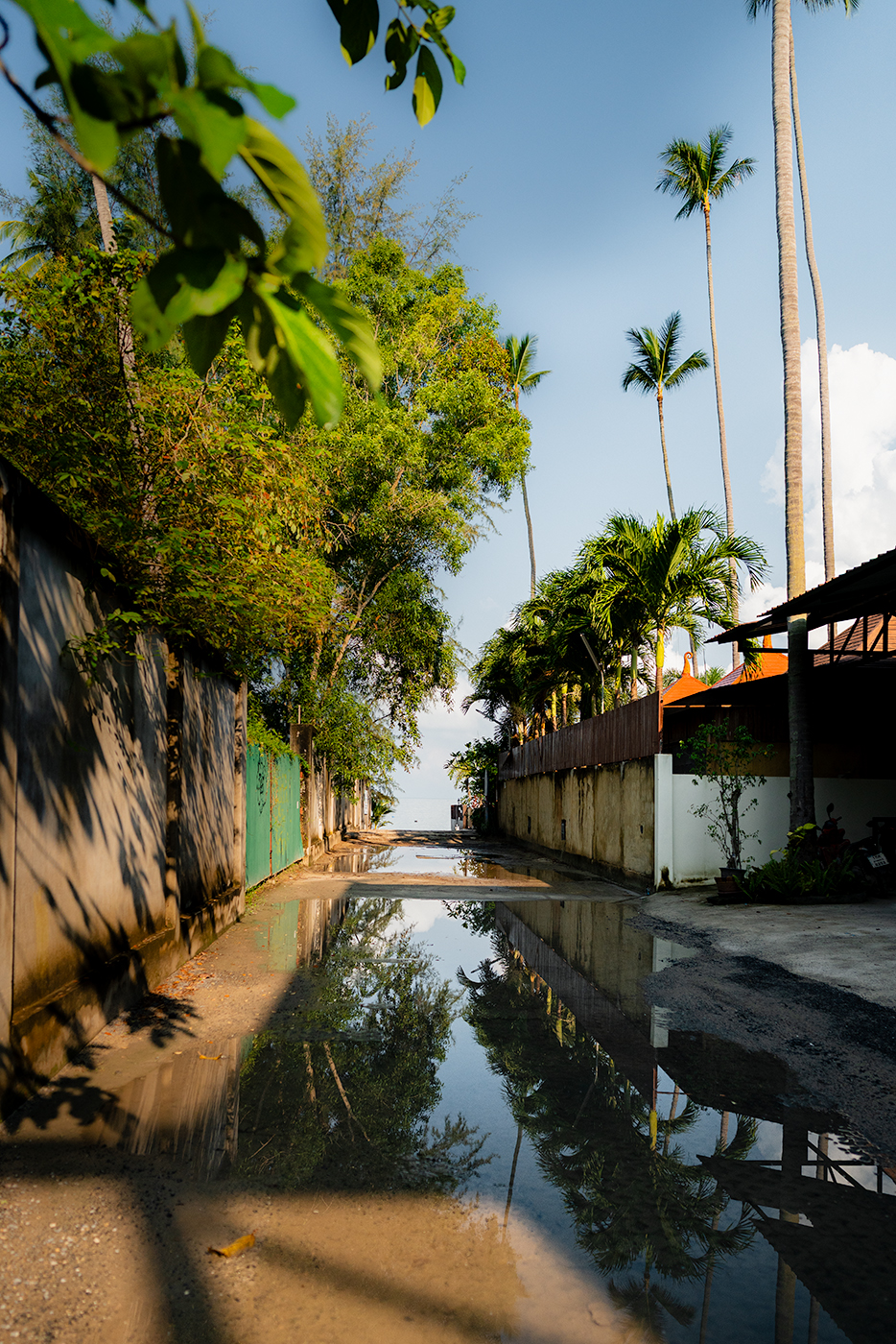 Narrow alley in Koh Samui leading to the beach, with tall palm trees and walls on each side reflected in a large puddle of water.