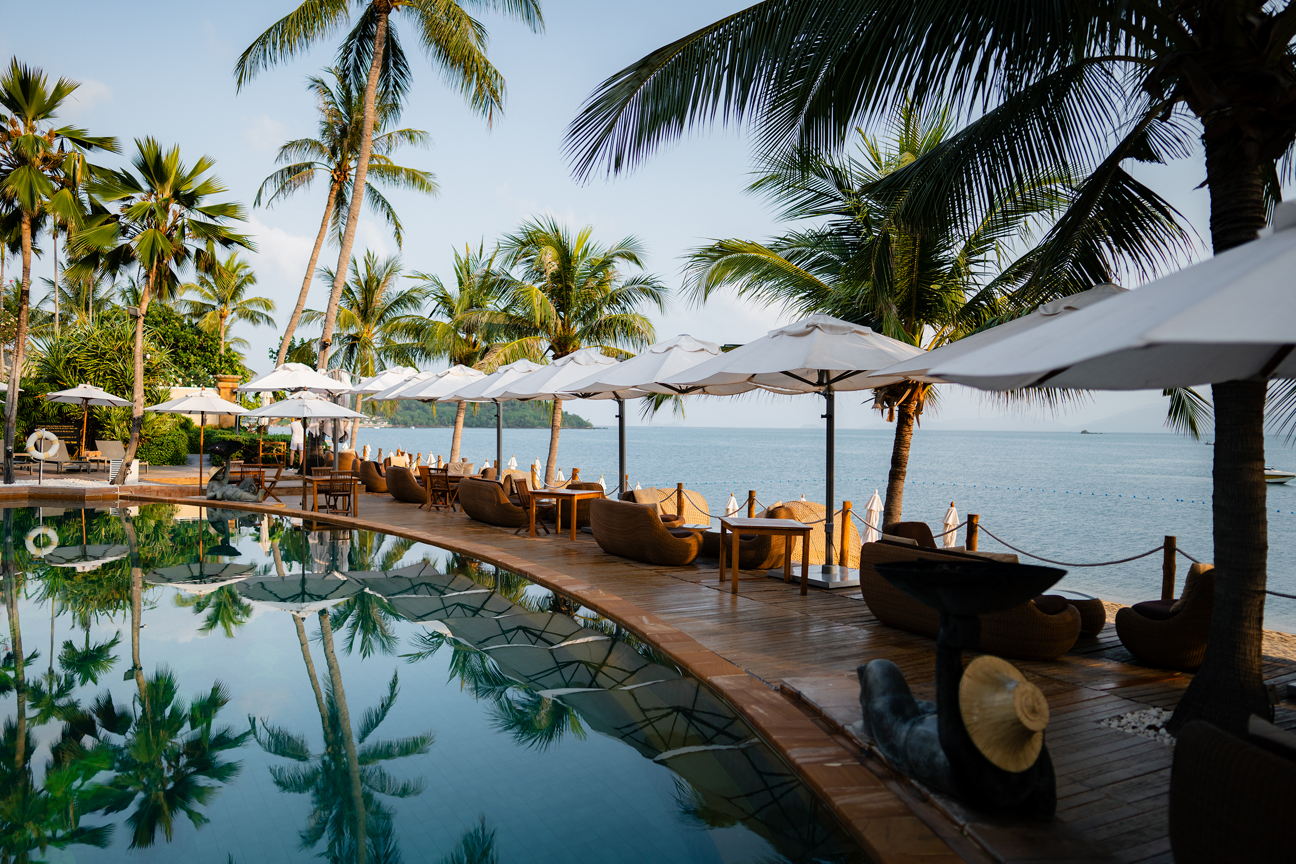 Curved beachfront pool reflecting palm trees, with a wooden deck of loungers and umbrellas overlooking the sea