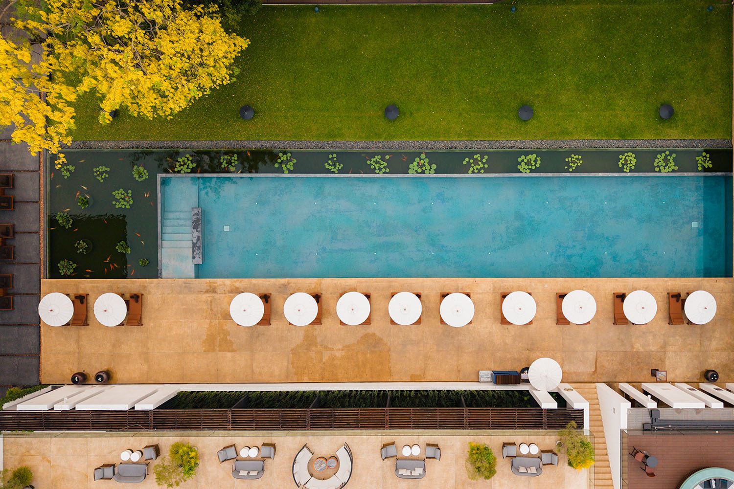 Aerial top-down view of Anantara Chiang Mai Resort lap pool flanked by white parasols, koi pond, and manicured lawn
