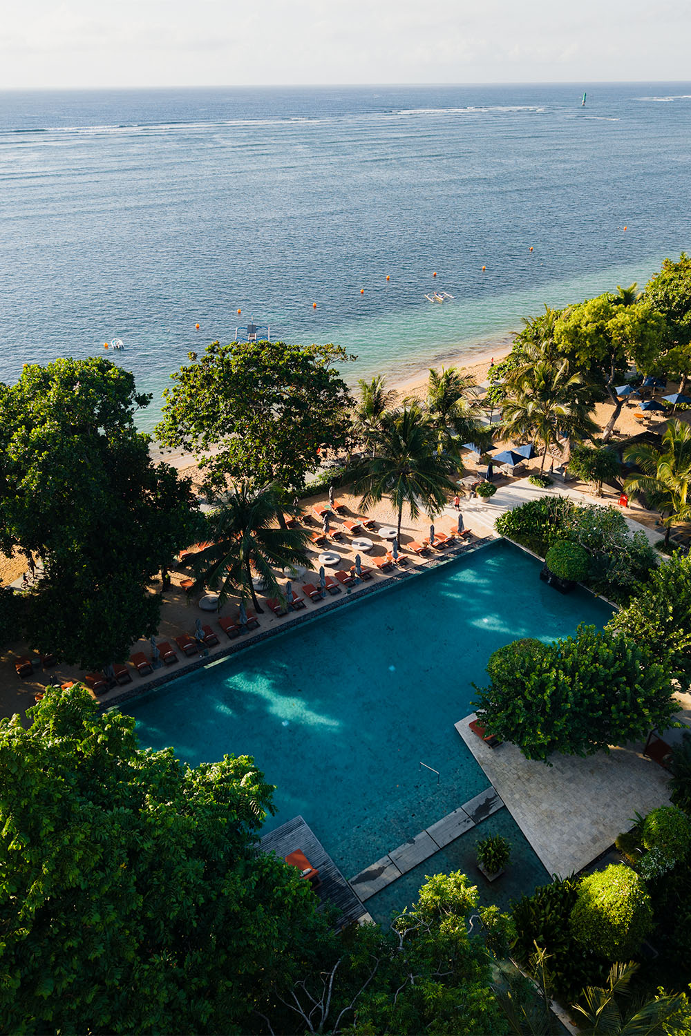 Elevated view of Andaz Bali Sanur resort pool, beachfront sun loungers, and Indian Ocean through tropical tree canopy