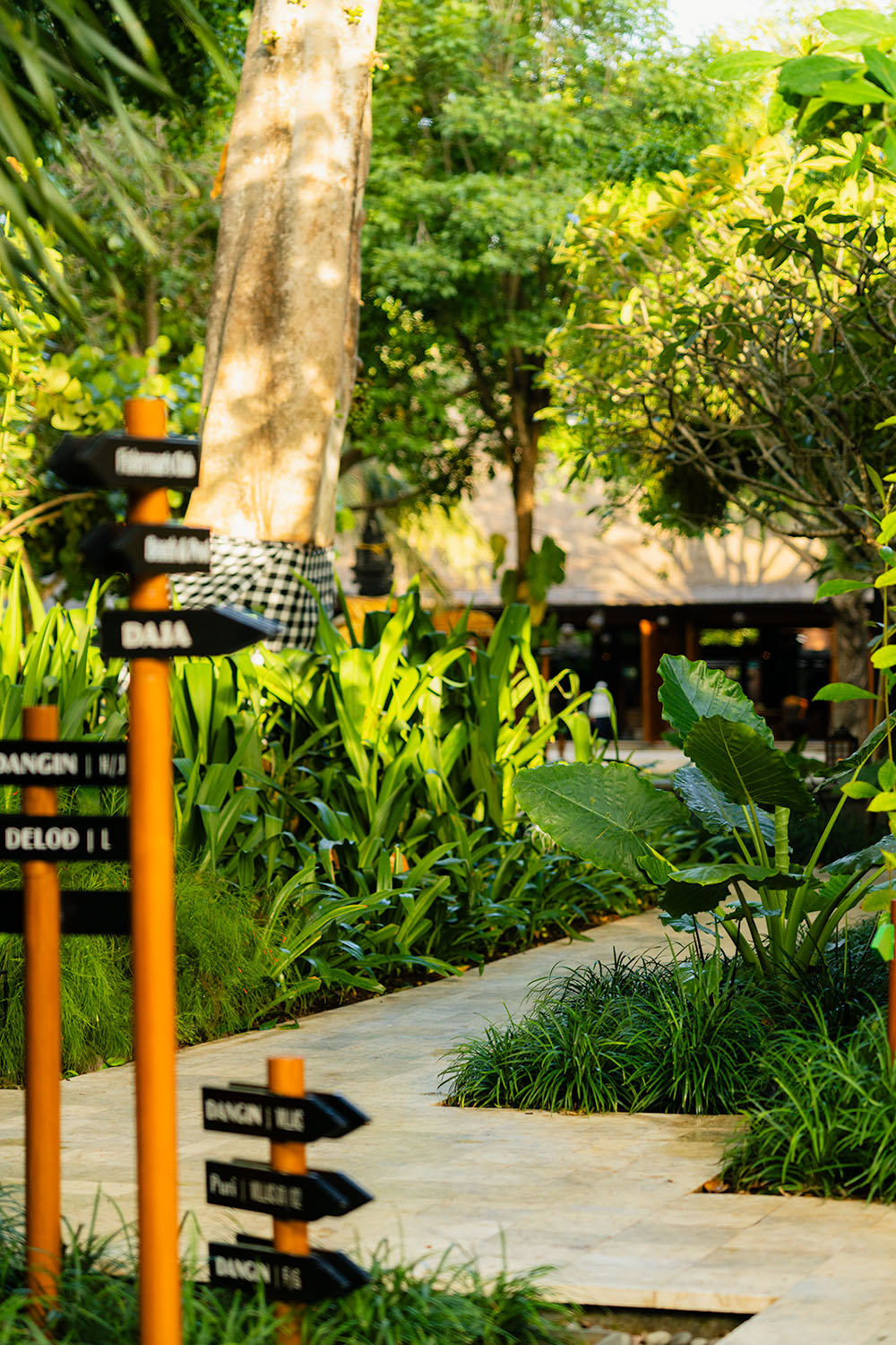 Tropical garden pathway at Andaz Bali Sanur with directional signage, large-leaf plants, and traditional Balinese poleng-wrapped tree